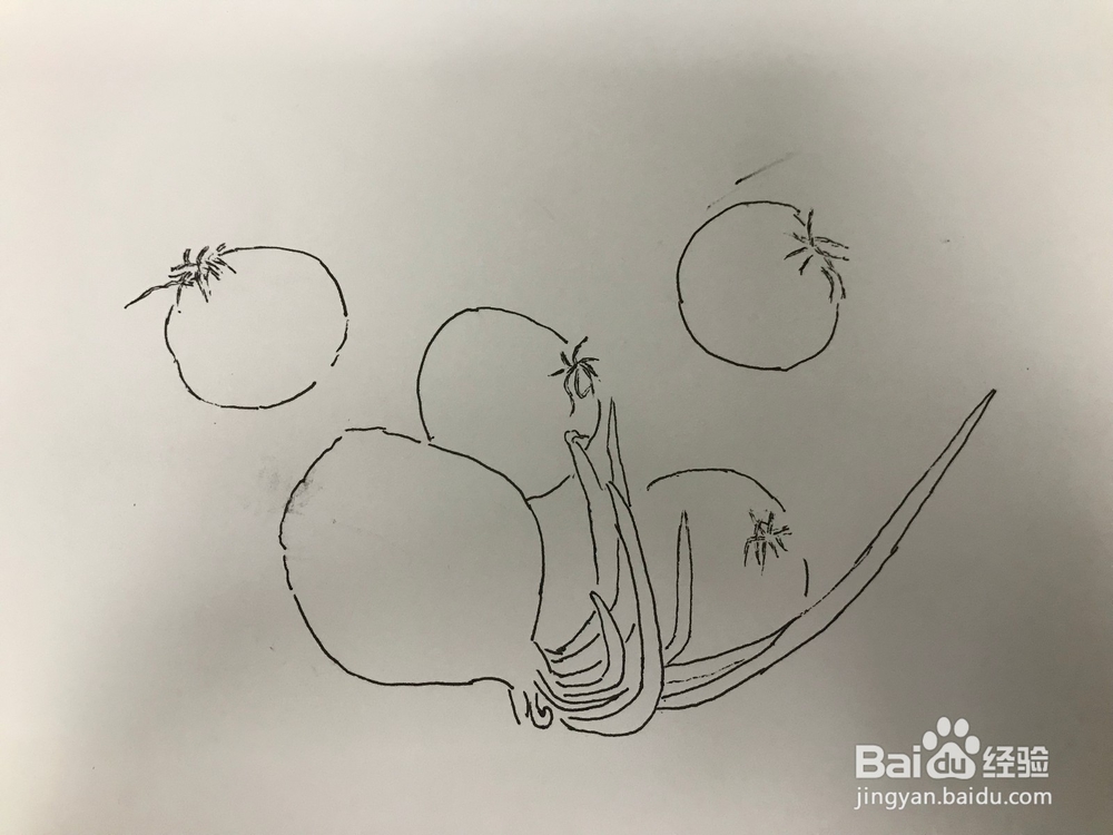 画几个发芽的洋葱