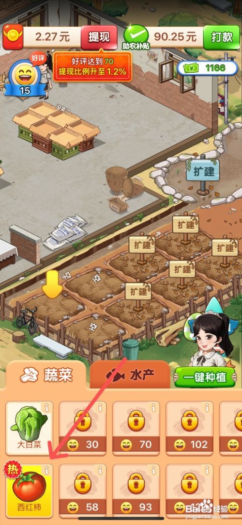 向往的小农院怎么在小院土块上种西红柿