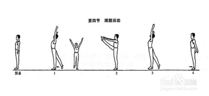 第五套广播体操步骤是什么？