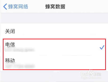 苹果11双卡模式在哪里打开