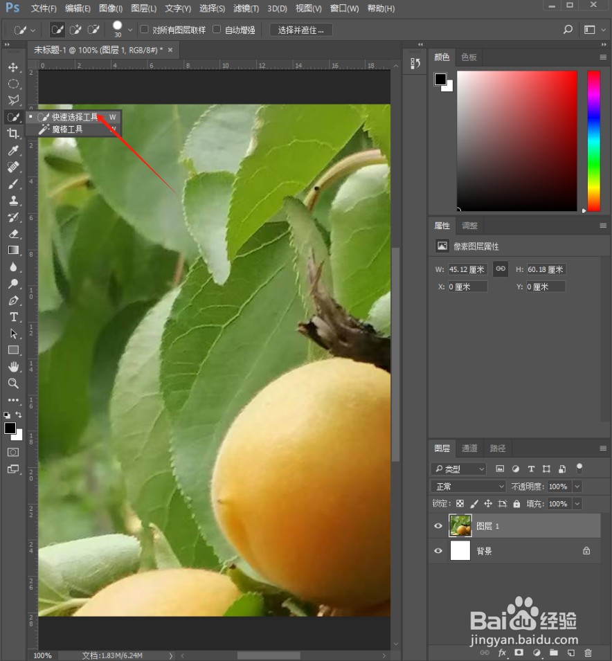 如何使用Photoshop快速选择工具进行抠图