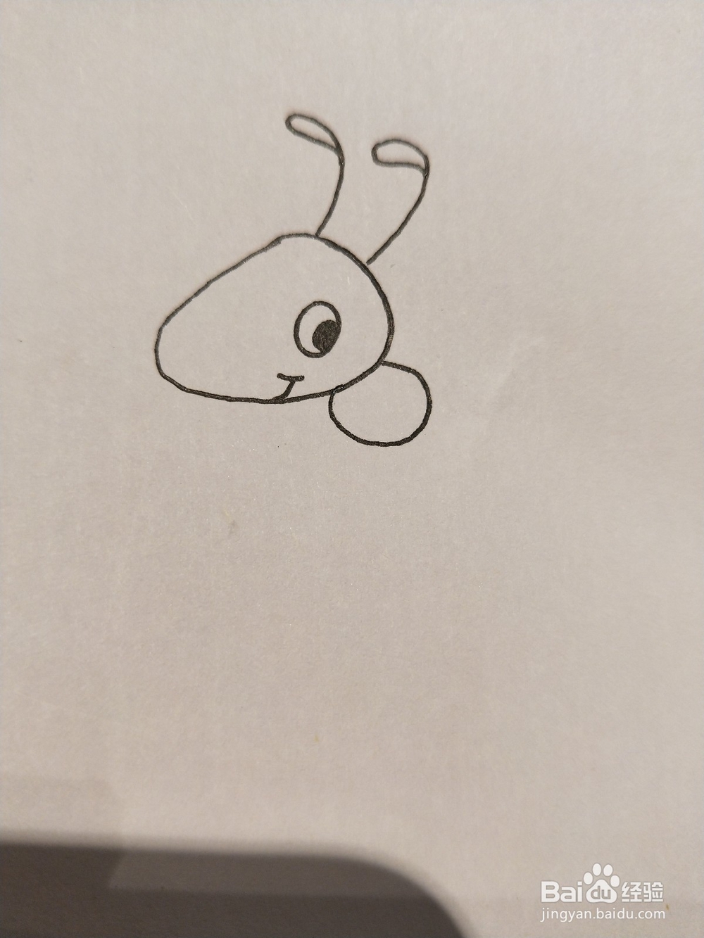 怎样画简笔画——小蚂蚁
