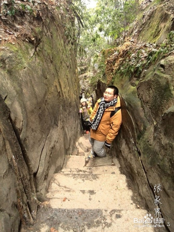 2016张家界旅游攻略实用攻略+费用+小贴士+游记