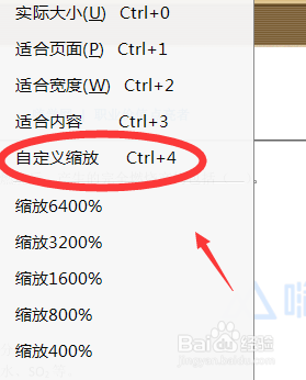 PDF格式文档如何调整显示的比例