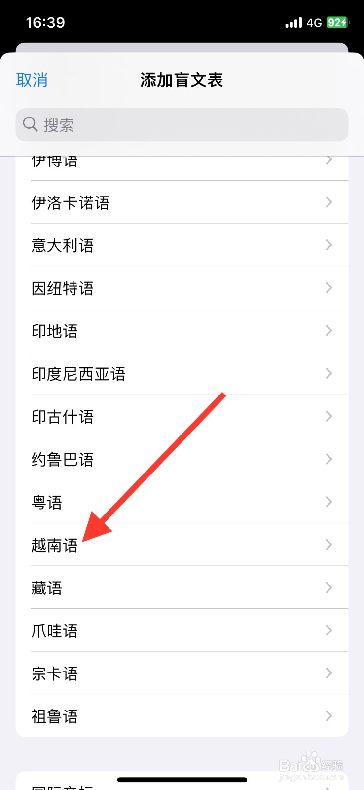 iPhone旁白添加【越南语】盲文表