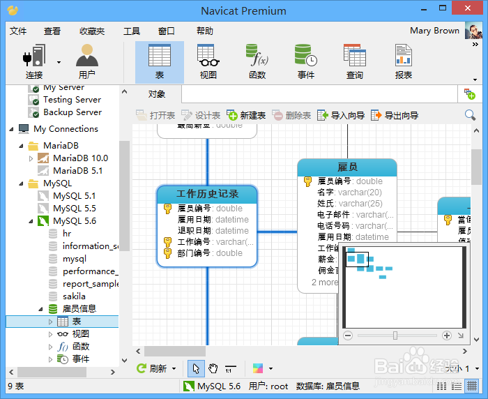 Navicat Cloud 支持的所有平台