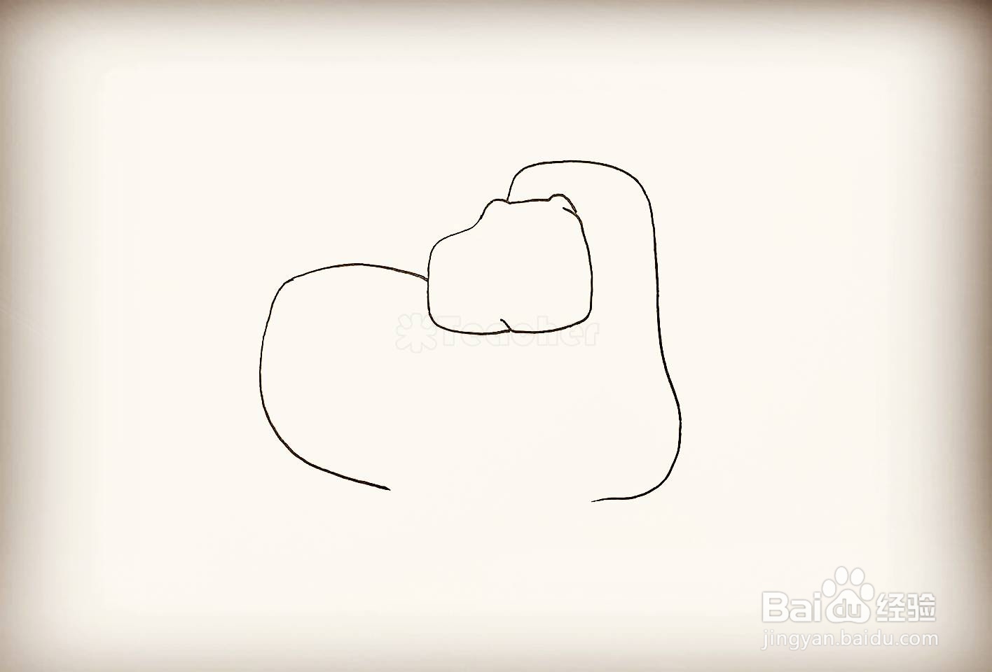 如何画一只海狮