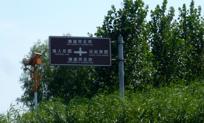 白洋淀一日游 荷花森林中飞翔