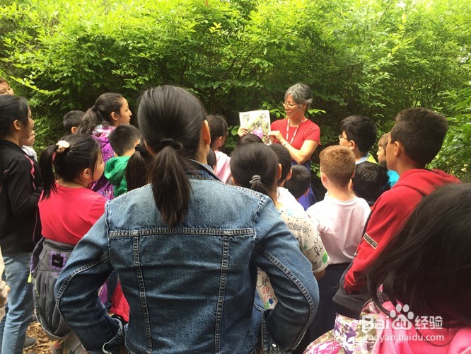 温哥华自然公园学校郊游活动