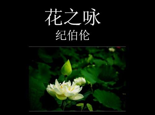 草原上，我舞姿轻盈，为她打扮;空气里，我叹吁呼吸，使她芳香四溢。 第一个她指什么