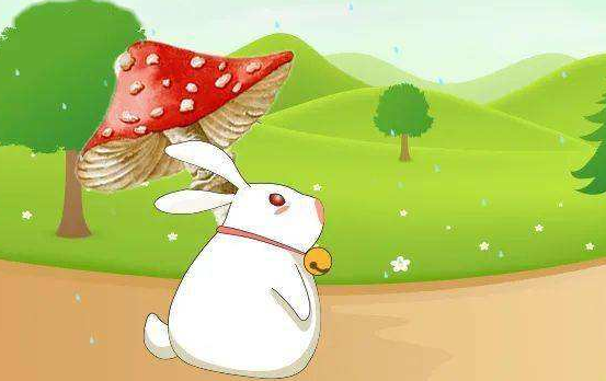 提示:图中白小白兔遇到了什么事?它心里会怎么想,怎么说,怎么做?结果怎样?把你看到的,想到的都写来