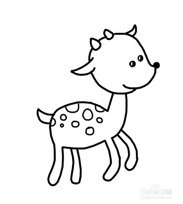 动物简笔画：梅花鹿