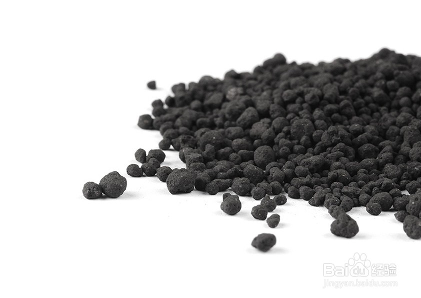 养鱼需要准备什么东西