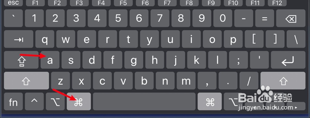 MacBook的Excel如何用快捷键全选