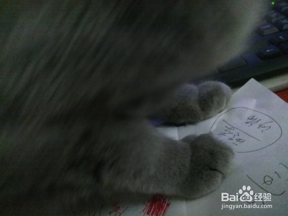 消除书页上的脏痕迹的方法