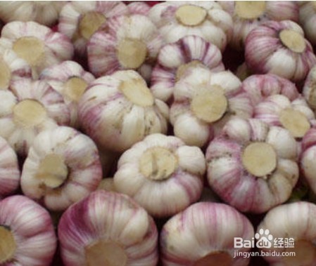 黑蒜的功效与作用以及家庭制作方法