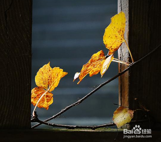 怎么拍照发朋友圈吸引人？