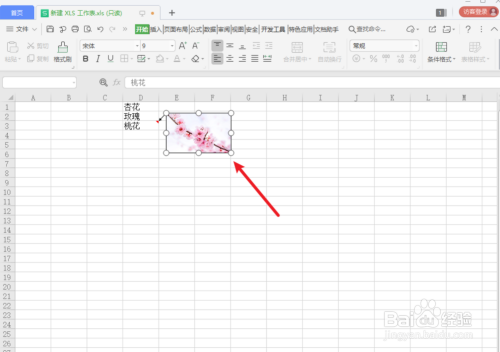 WPS如何添加图片批注