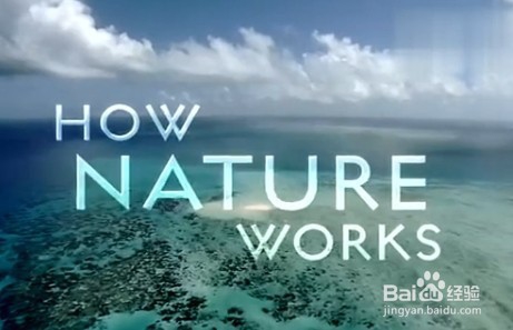 如何写好一篇纪录片评论