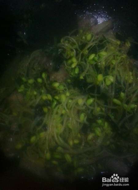 炒肉片韭菜豆芽