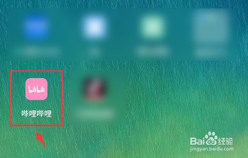 哔哩哔哩公开显示佩戴的粉丝勋章如何设置