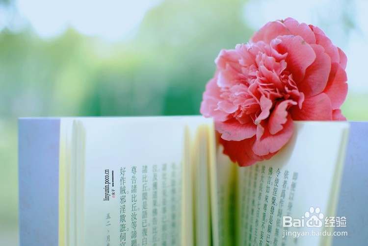 脸上有红血丝怎么办，护理的方法有哪些