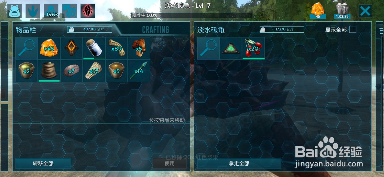 方舟如何驯服淡水碳龟?