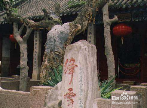 倩女幽魂手游：绛雪与元霜百层通关攻略