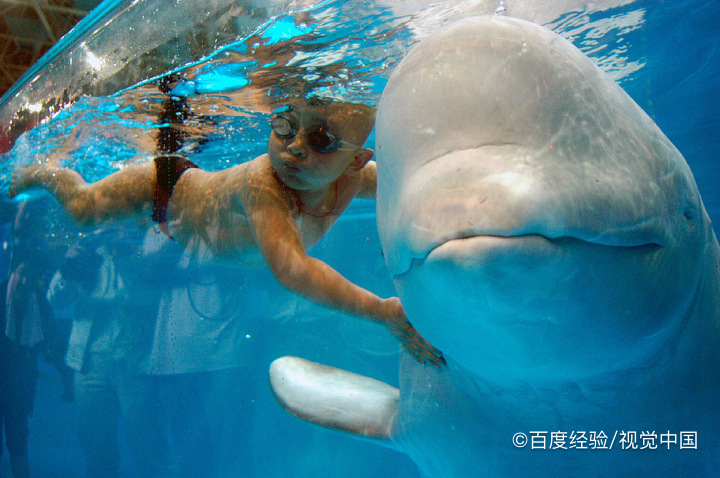 羊水的成分和来源