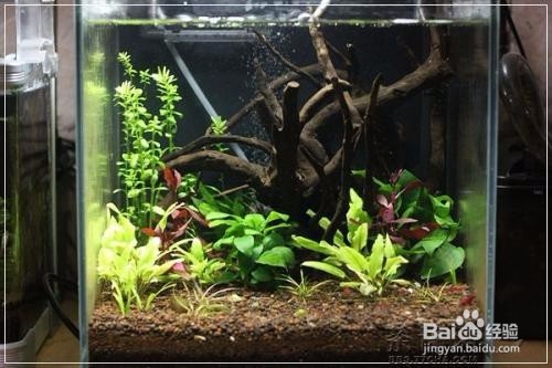 溢流区的便便怎么清理