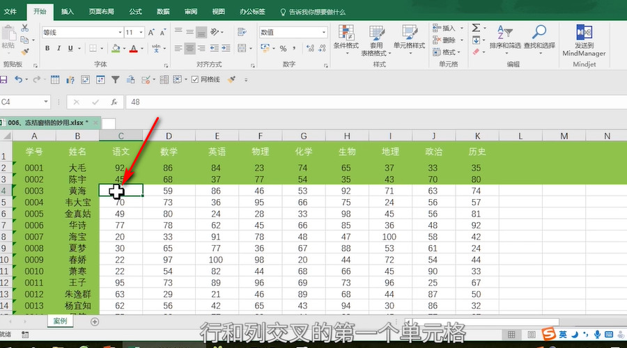 Excel如何冻结行列