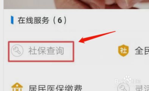 支付宝查询社保缴费信息怎么显示不出来 百度经验