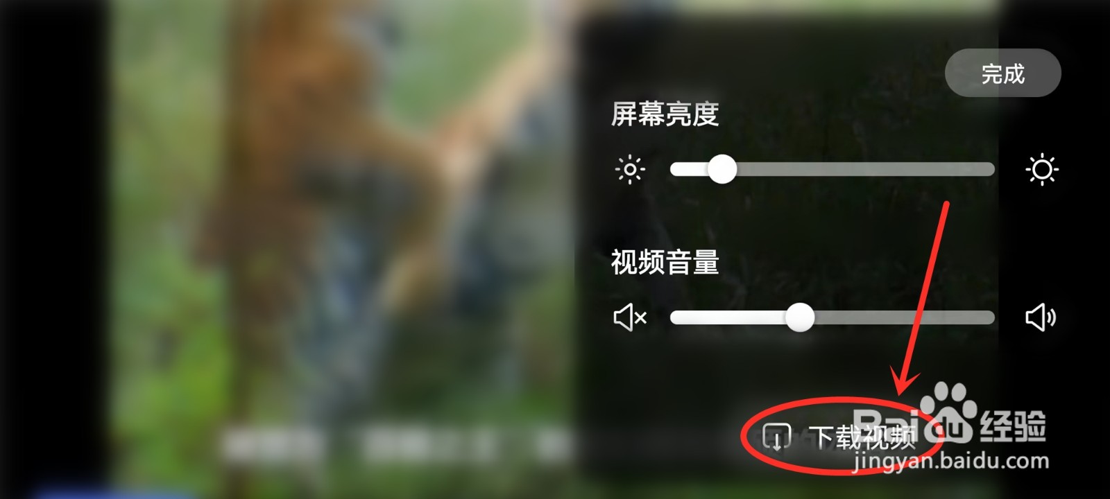 百度关怀版怎么下载视频