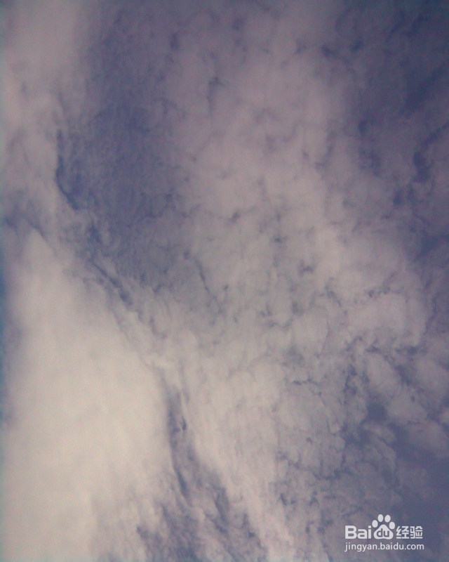 白醋美容的作用