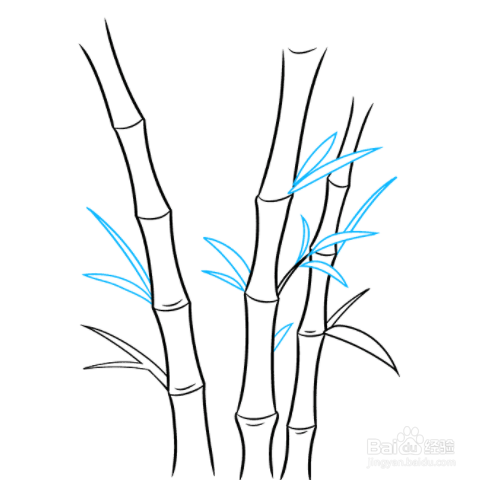 如何绘制竹子