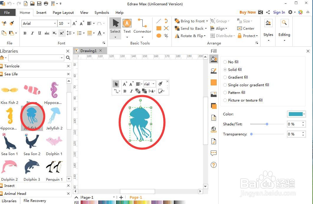 怎样在Edraw max中创建水母图