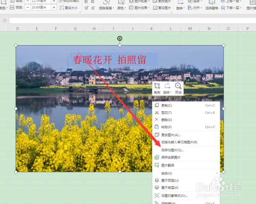 如何利用Excel在图片中增加文字说明?