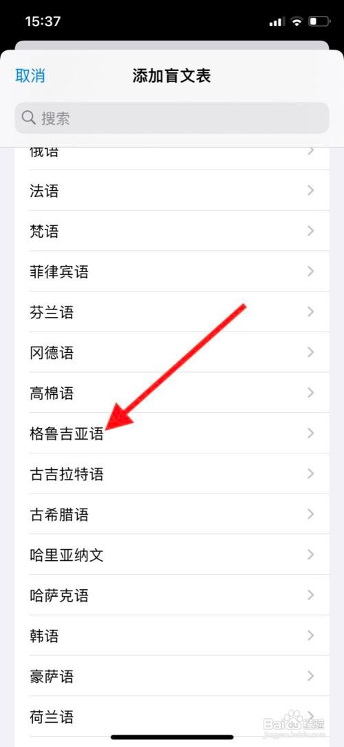 苹果手机旁白“格鲁吉亚语”盲文表怎样添加