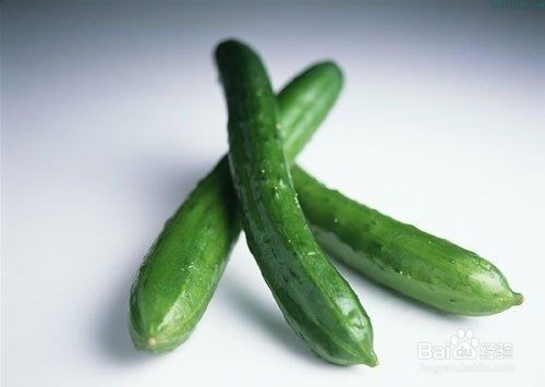 种植黄瓜的注意事项有哪些呢?