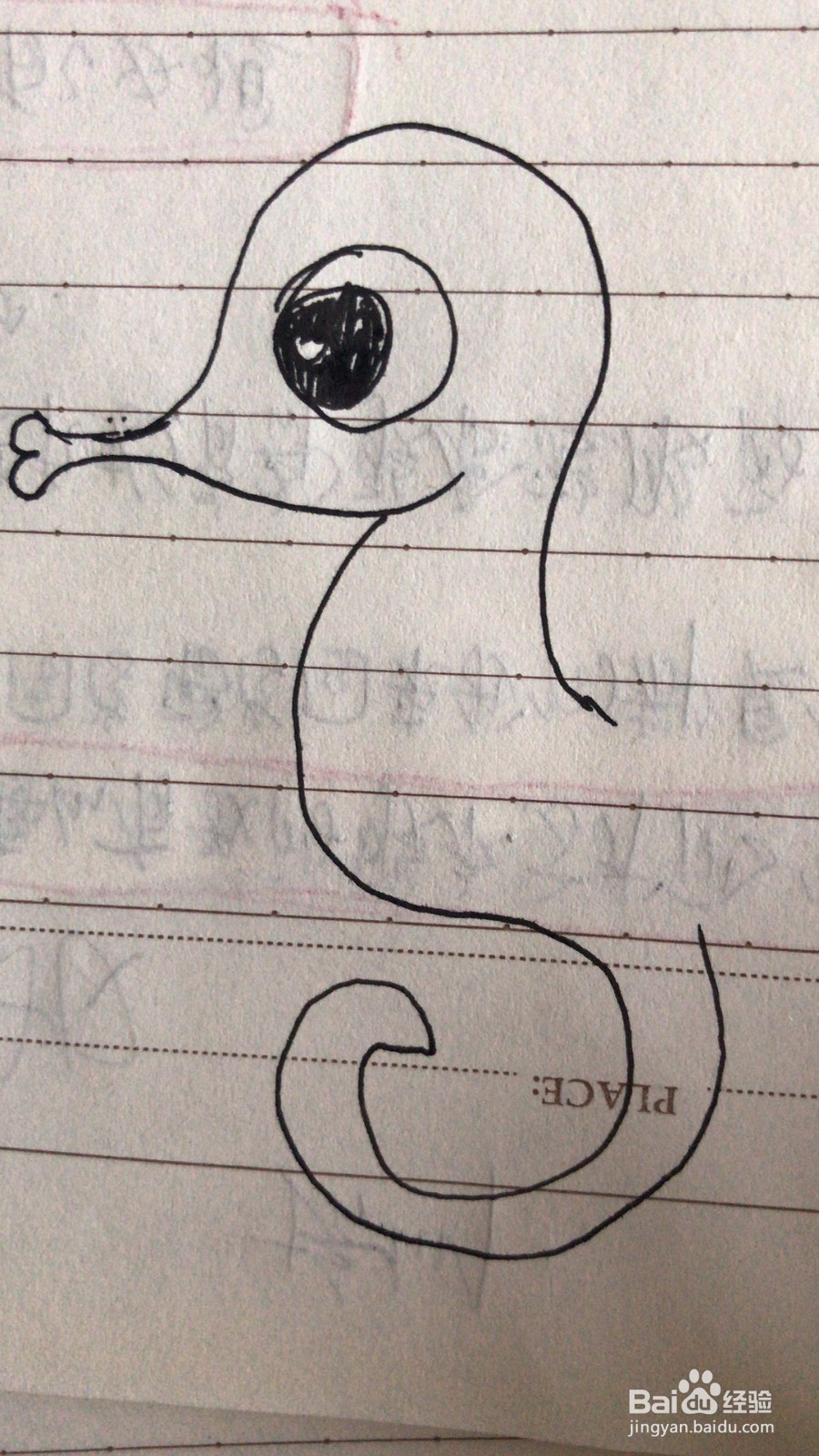 小海马的简笔画