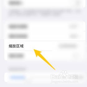 苹果手机如何设置缩放区域