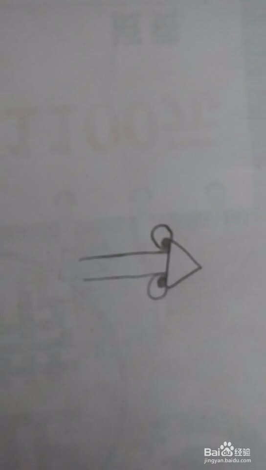 多妈简笔画一只螳螂