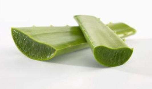 新鲜芦荟可以直接擦脸吗