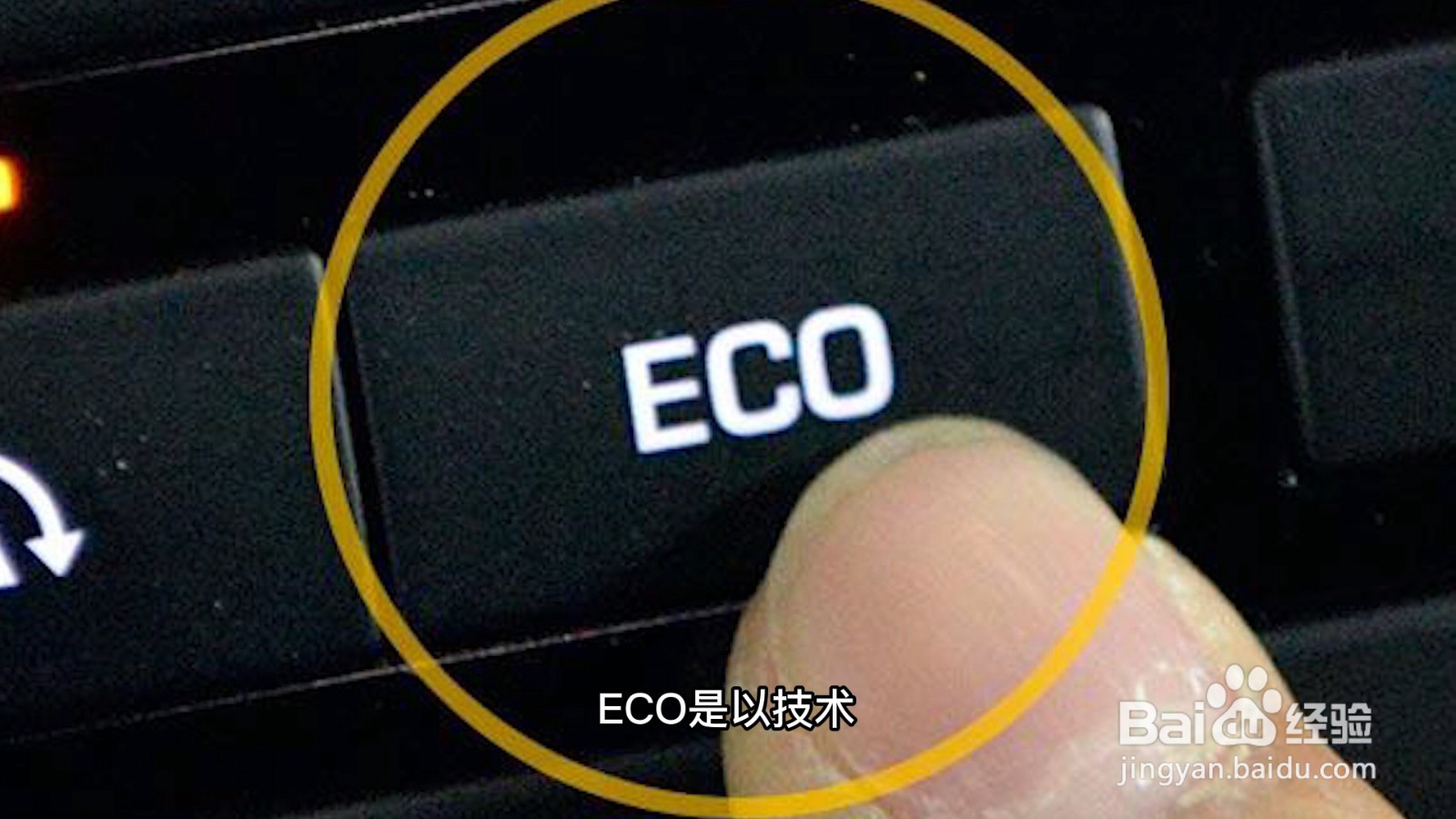 eco是什么意思