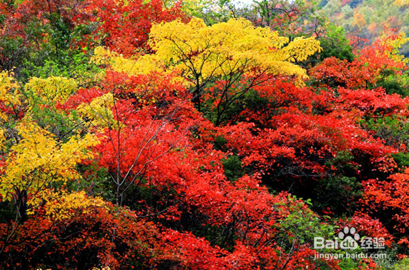 2014冬季旅游好去处