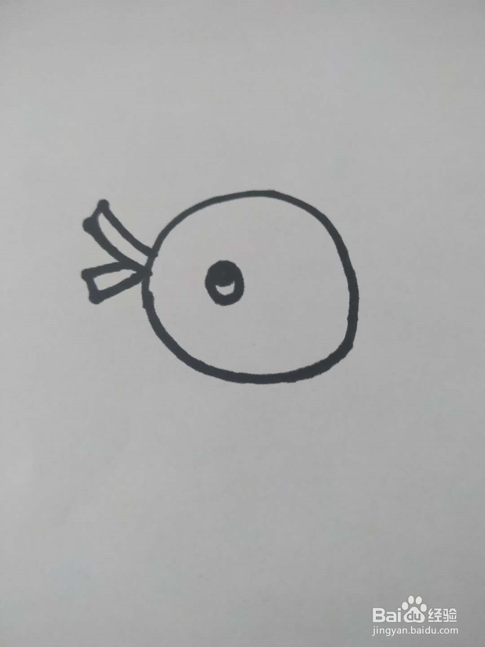 小鸭子的简笔画怎么画,怎么画小鸭子