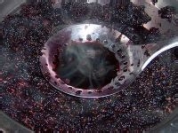 菓乐拼桑葚果汁的做法