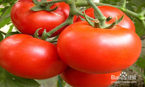 七大食物助你缓解消化不良