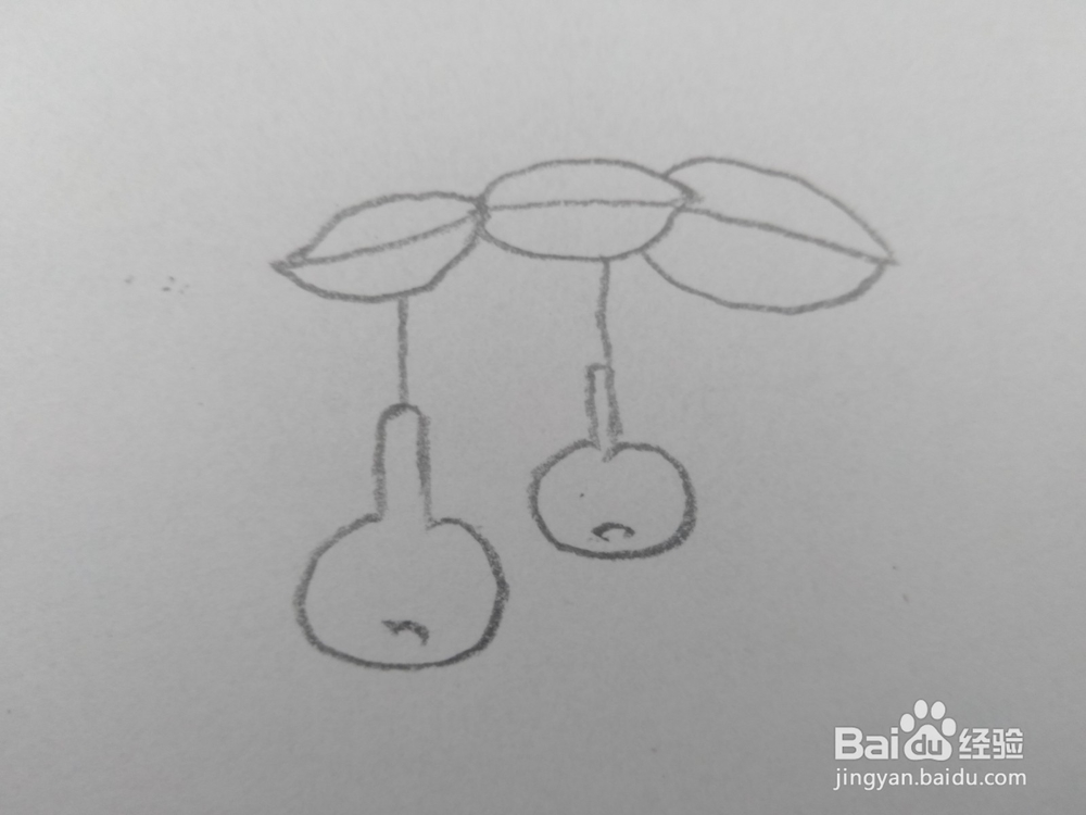 儿童简笔画葫芦画法四