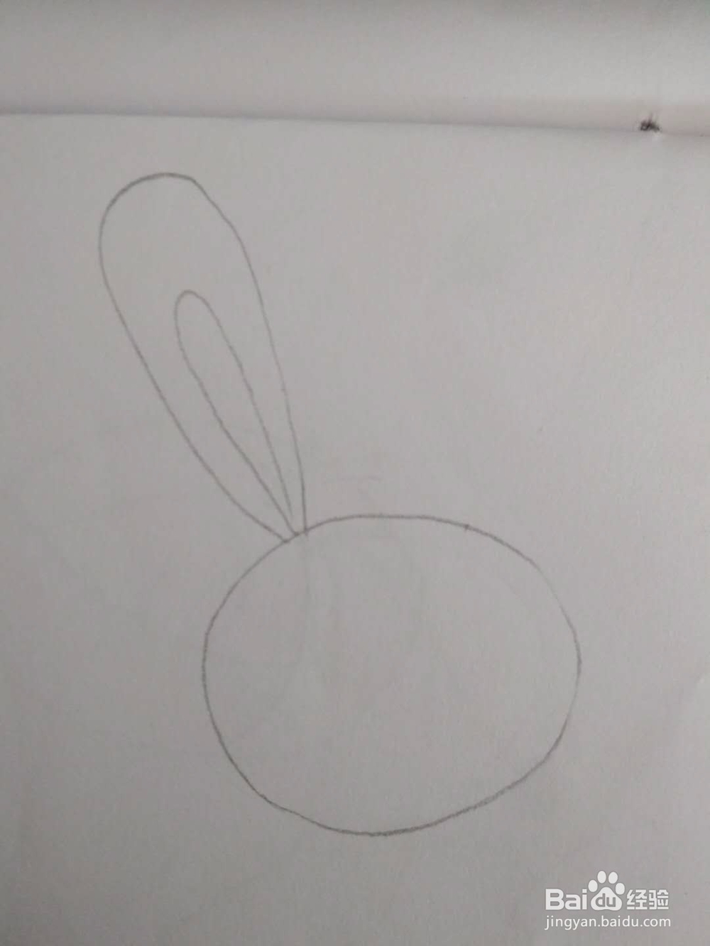 多妈简笔画动物一只可爱的小白兔